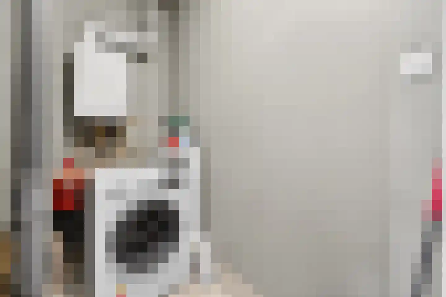 Haagbeemd 6 Eindhoven thumbnail 29