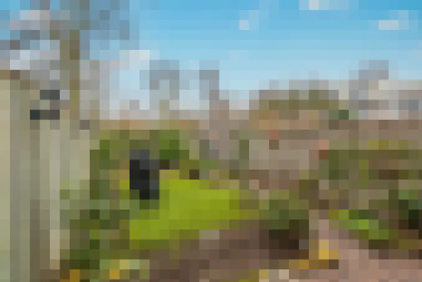 Haagbeemd 6 Eindhoven thumbnail 4