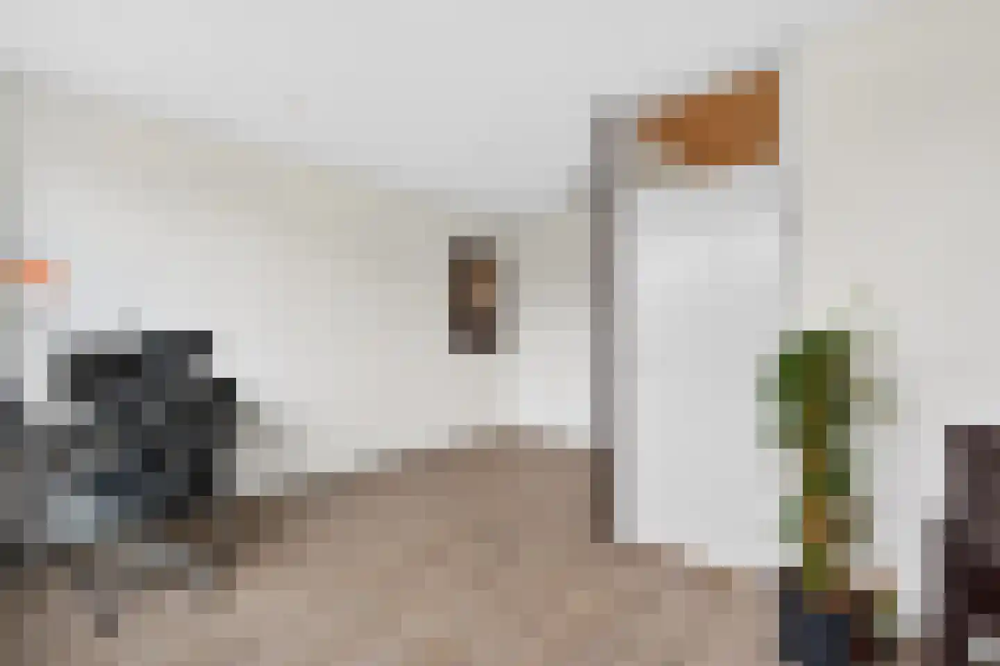 Haagbeemd 6 Eindhoven thumbnail 42