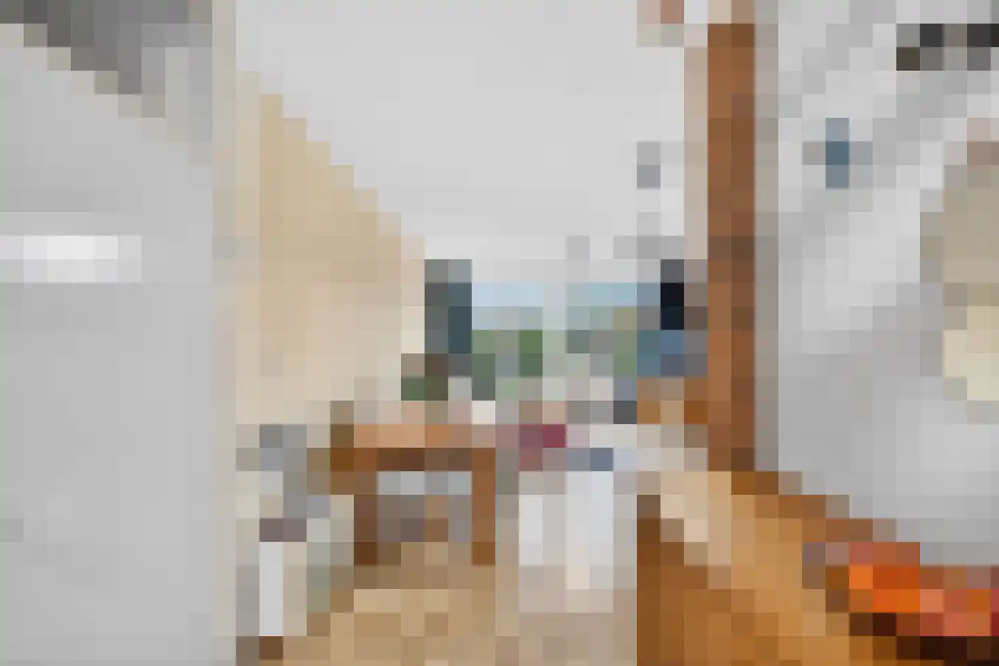 Haagbeemd 6 Eindhoven thumbnail 9