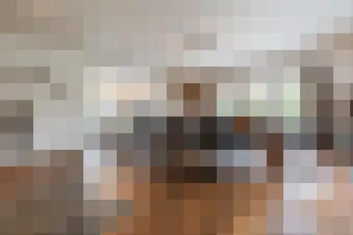 Haagbeuk 13 Halsteren thumbnail 10