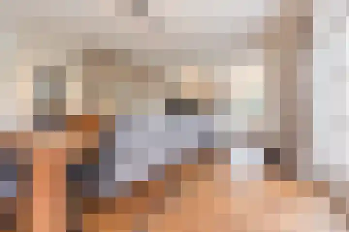 Haagbeuk 13 Halsteren thumbnail 12
