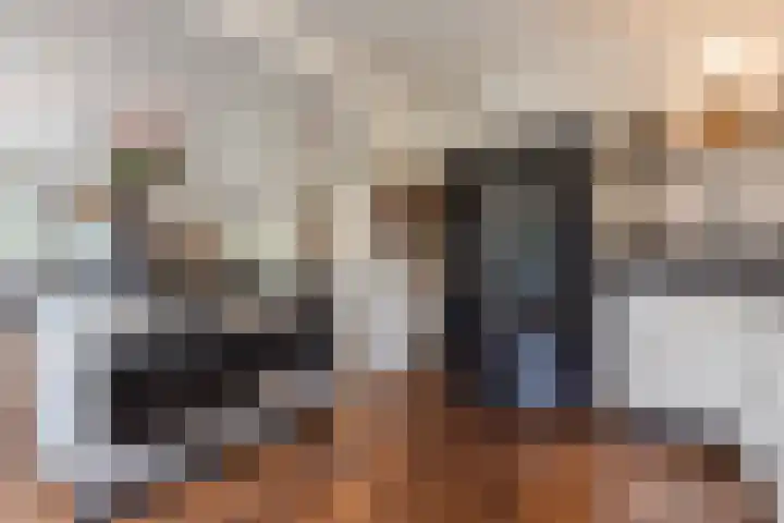 Haagbeuk 13 Halsteren thumbnail 13