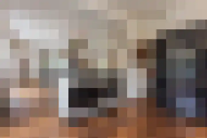 Haagbeuk 13 Halsteren thumbnail 14