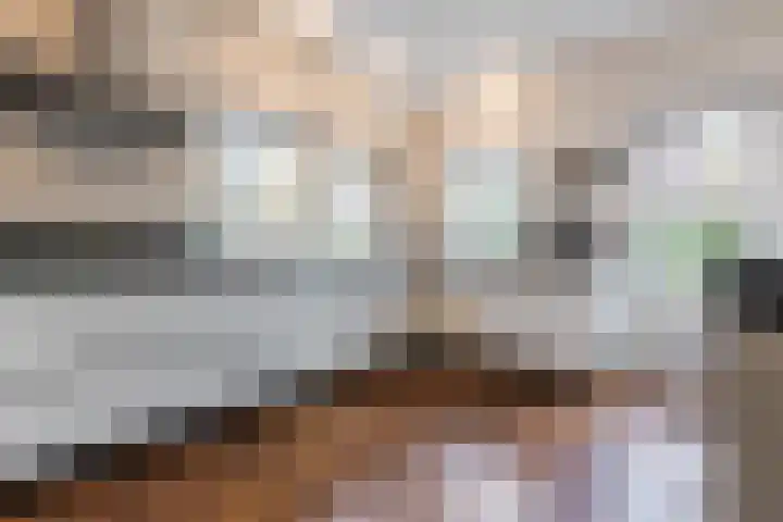 Haagbeuk 13 Halsteren thumbnail 15