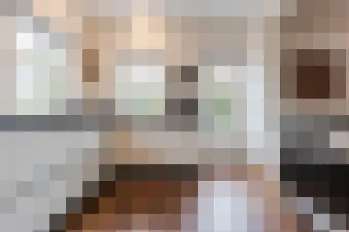 Haagbeuk 13 Halsteren thumbnail 16