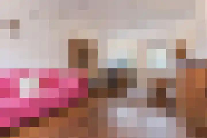Haagbeuk 13 Halsteren thumbnail 20