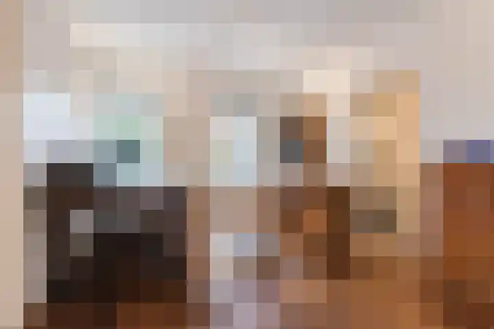 Haagbeuk 13 Halsteren thumbnail 21