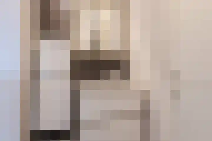 Haagbeuk 13 Halsteren thumbnail 22