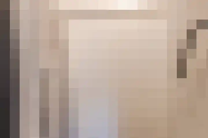 Haagbeuk 13 Halsteren thumbnail 23