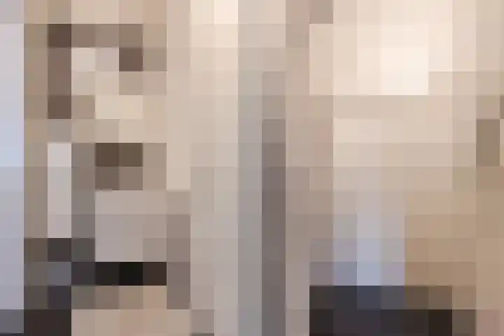 Haagbeuk 13 Halsteren thumbnail 24