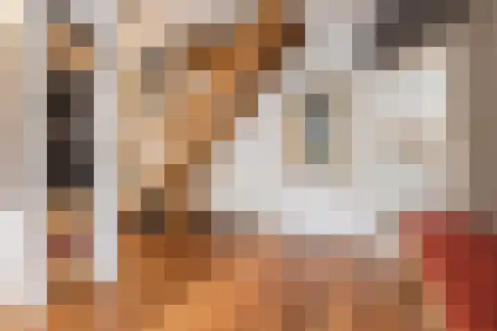 Haagbeuk 13 Halsteren thumbnail 28