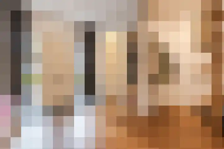 Haagbeuk 13 Halsteren thumbnail 29