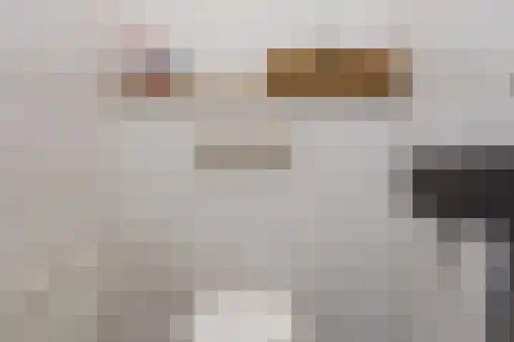 Haagbeuk 13 Halsteren thumbnail 32