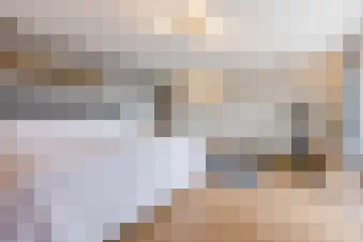 Haagbeuk 13 Halsteren thumbnail 35