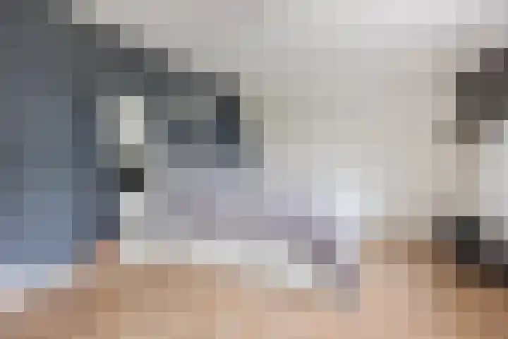 Haagbeuk 13 Halsteren thumbnail 36