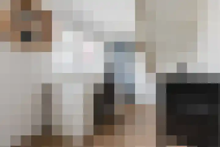 Haagbeuk 13 Halsteren thumbnail 37