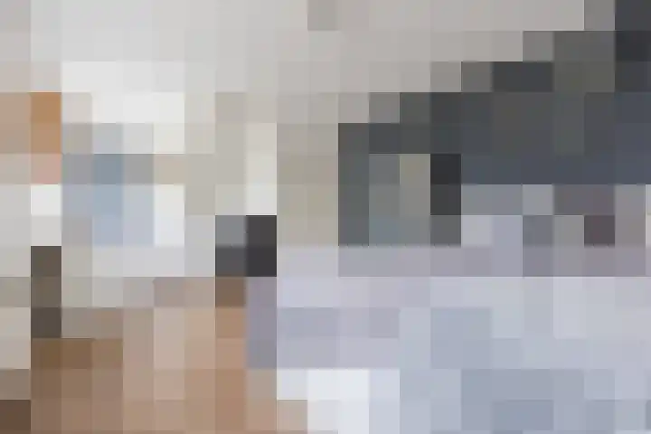 Haagbeuk 13 Halsteren thumbnail 38