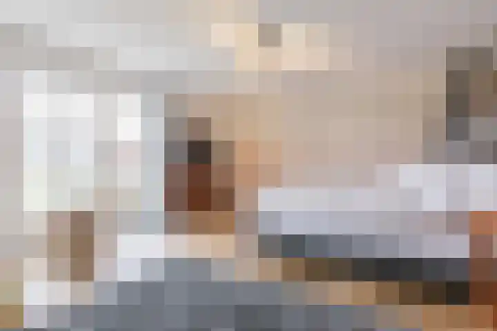 Haagbeuk 13 Halsteren thumbnail 4