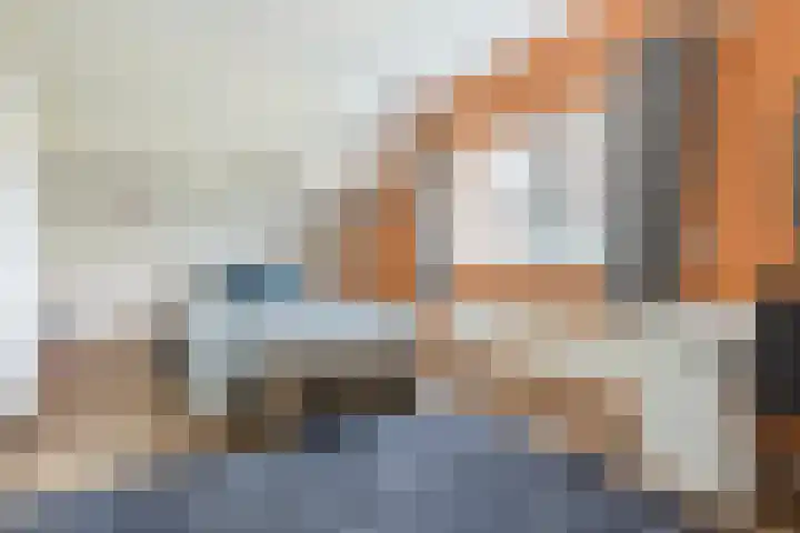 Haagbeuk 13 Halsteren thumbnail 41