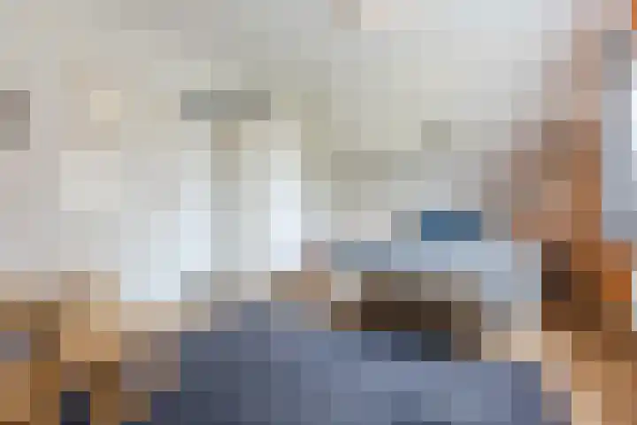 Haagbeuk 13 Halsteren thumbnail 42