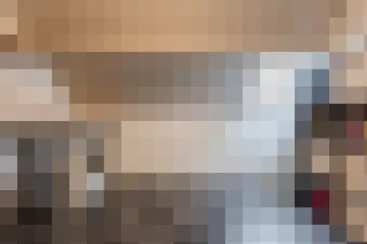 Haagbeuk 13 Halsteren thumbnail 43