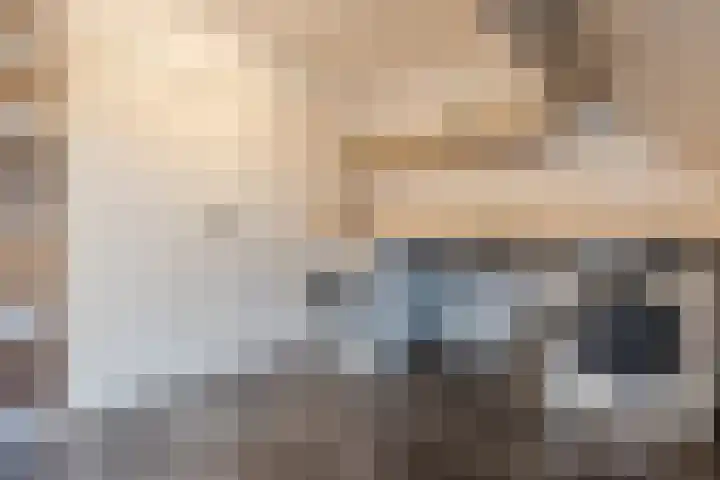 Haagbeuk 13 Halsteren thumbnail 44