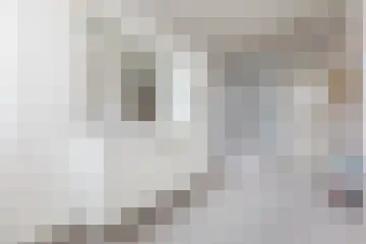 Haagbeuk 13 Halsteren thumbnail 46