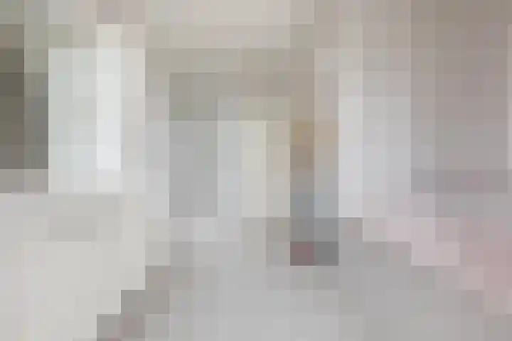 Haagbeuk 13 Halsteren thumbnail 47