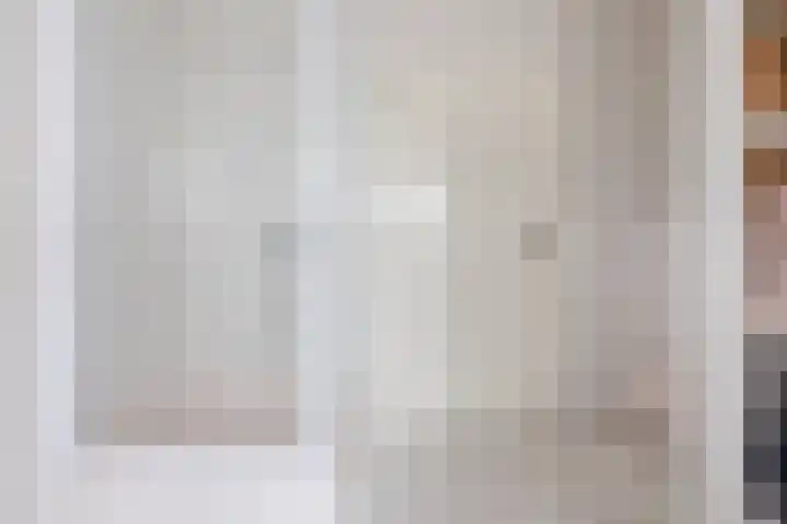 Haagbeuk 13 Halsteren thumbnail 48
