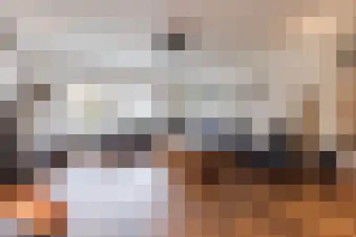Haagbeuk 13 Halsteren thumbnail 5