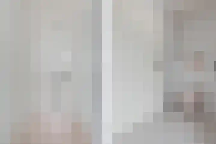 Haagbeuk 13 Halsteren thumbnail 51
