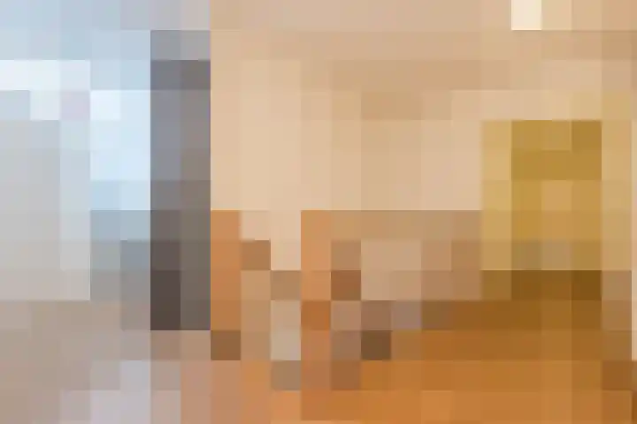 Haagbeuk 13 Halsteren thumbnail 53