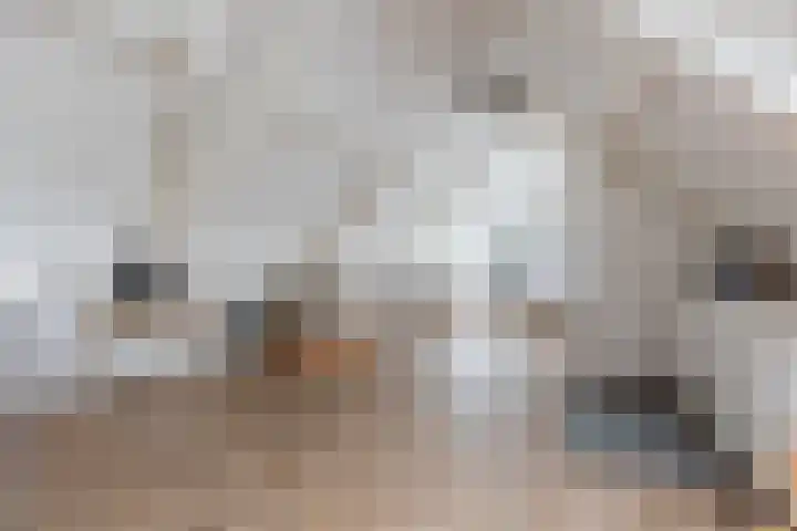 Haagbeuk 13 Halsteren thumbnail 54