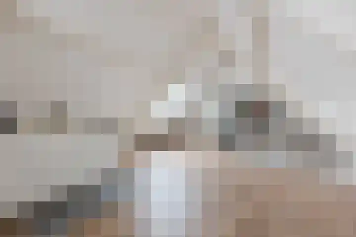 Haagbeuk 13 Halsteren thumbnail 55