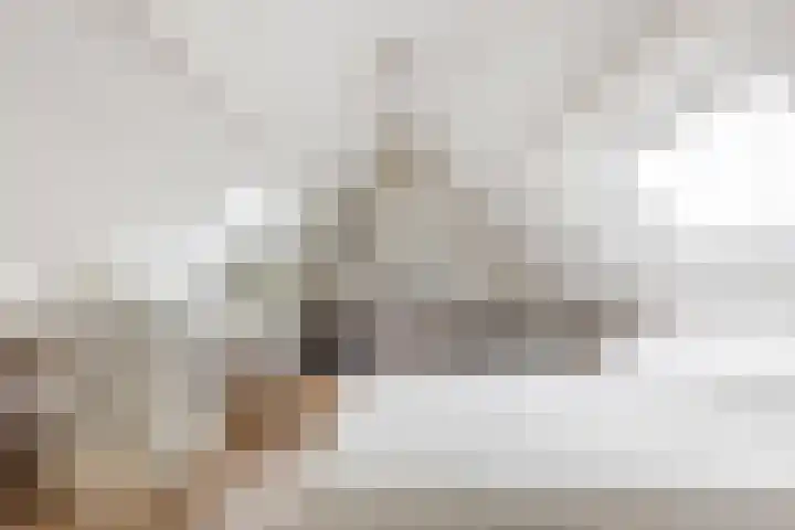 Haagbeuk 13 Halsteren thumbnail 56
