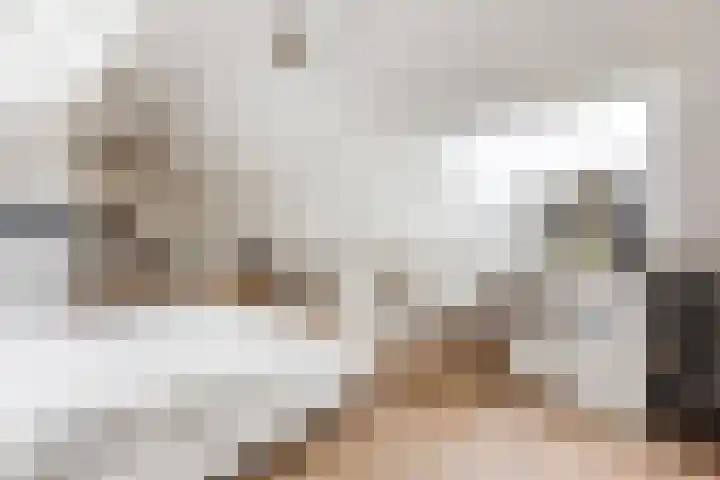 Haagbeuk 13 Halsteren thumbnail 57