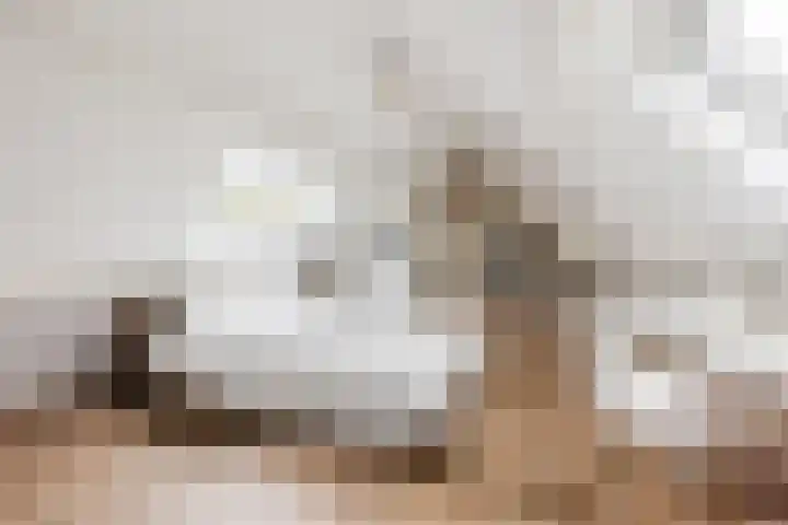 Haagbeuk 13 Halsteren thumbnail 58