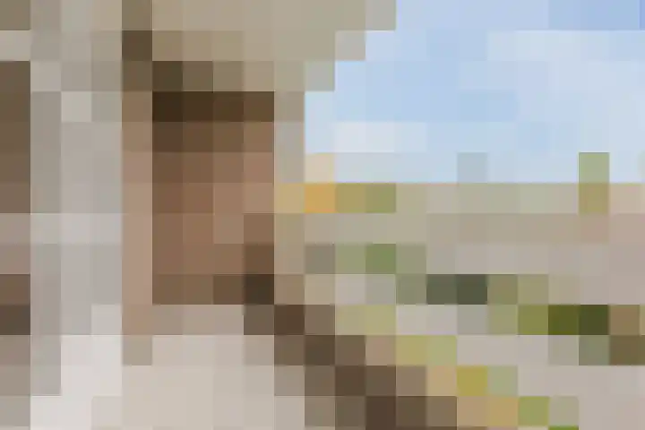 Haagbeuk 13 Halsteren thumbnail 59