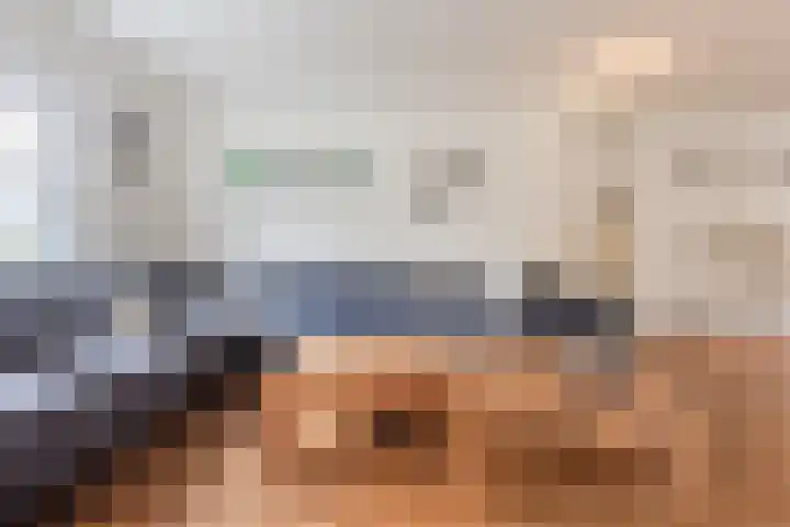 Haagbeuk 13 Halsteren thumbnail 6