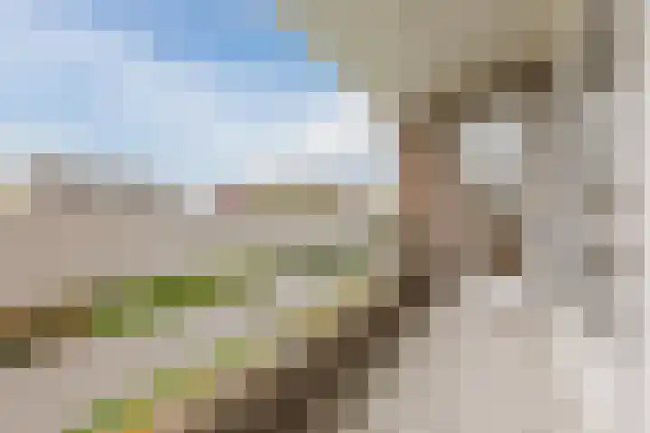 Haagbeuk 13 Halsteren thumbnail 60