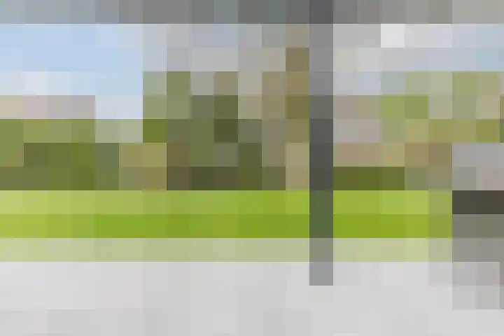 Haagbeuk 13 Halsteren thumbnail 61
