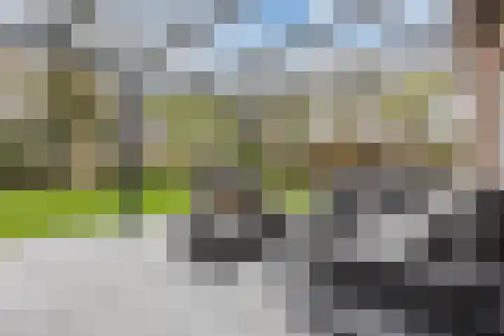 Haagbeuk 13 Halsteren thumbnail 62