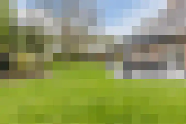 Haagbeuk 13 Halsteren thumbnail 67