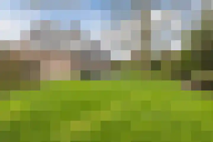 Haagbeuk 13 Halsteren thumbnail 68