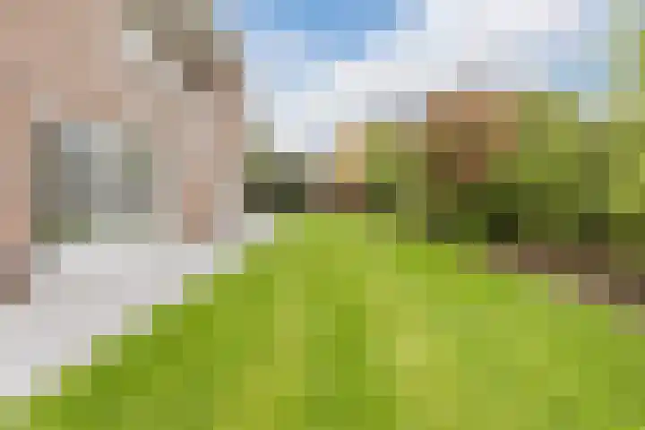 Haagbeuk 13 Halsteren thumbnail 69