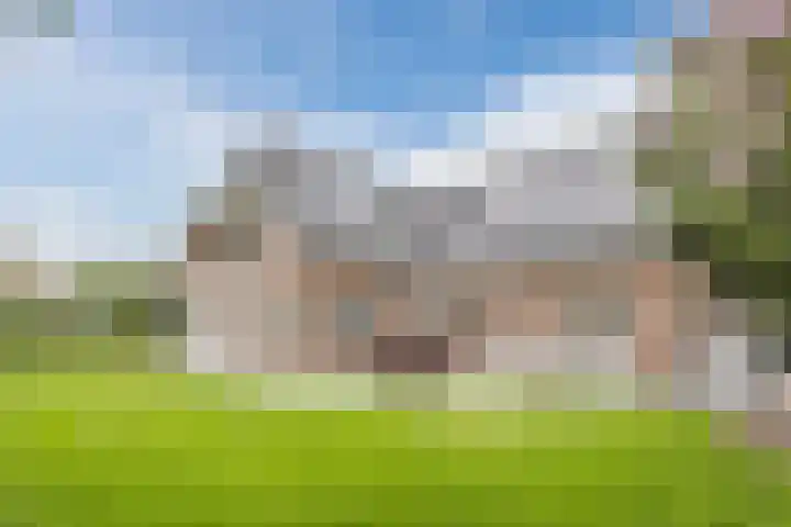 Haagbeuk 13 Halsteren thumbnail 70