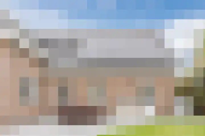 Haagbeuk 13 Halsteren thumbnail 71