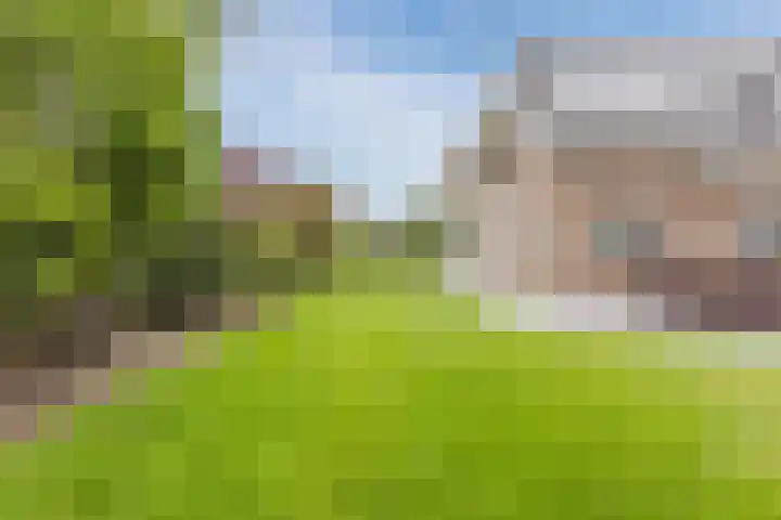Haagbeuk 13 Halsteren thumbnail 72