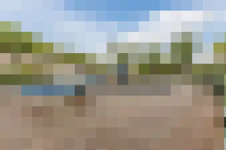 Haagbeuk 13 Halsteren thumbnail 73